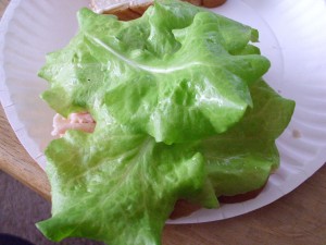 Sandwich Test 1