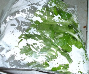Bag o' Lettuce